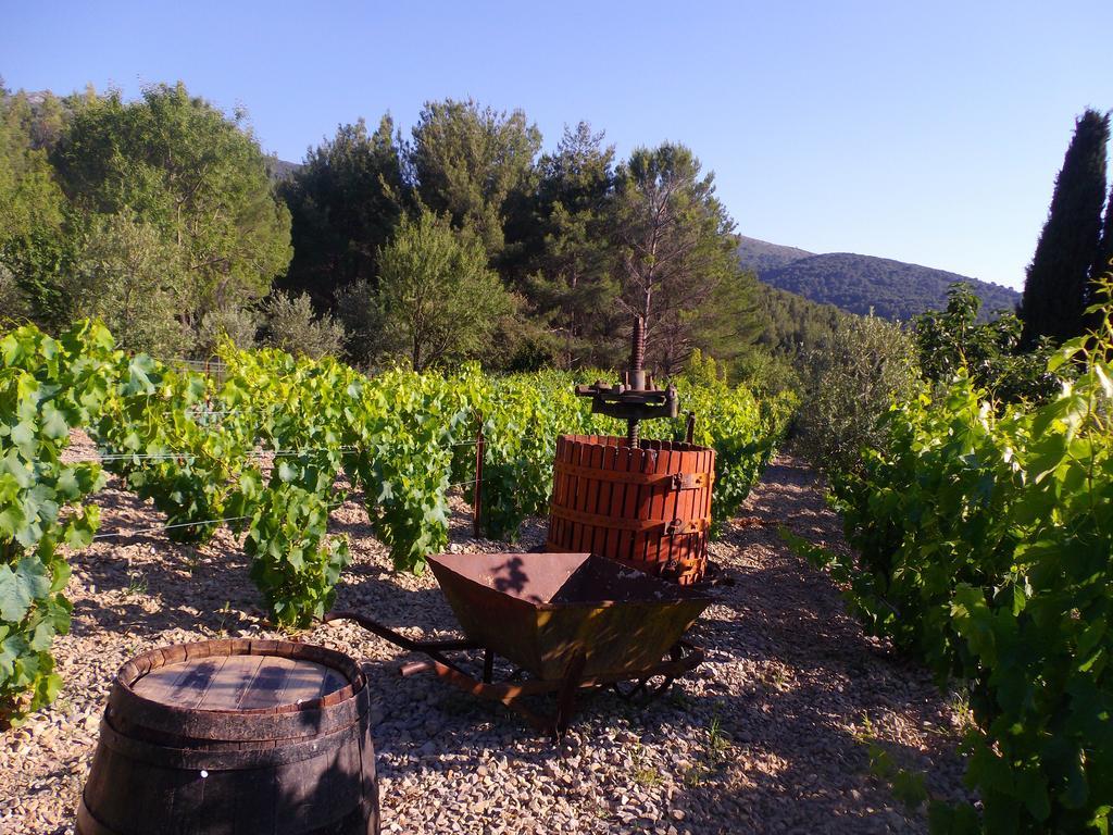 Hotel Au Havre De Paix Sainte Victoire Vauvenargues Exterior foto